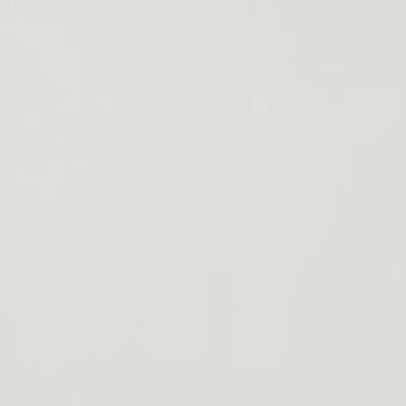Canali Shirts Men White-2