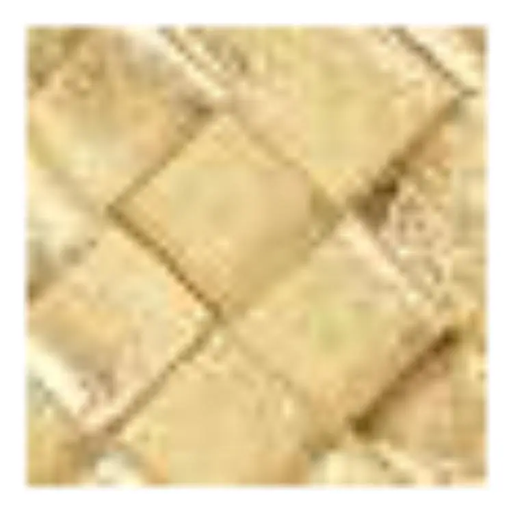 Bottega Veneta Cow Leather Handheld Makeup Bag Trumpets Women's Gold-3