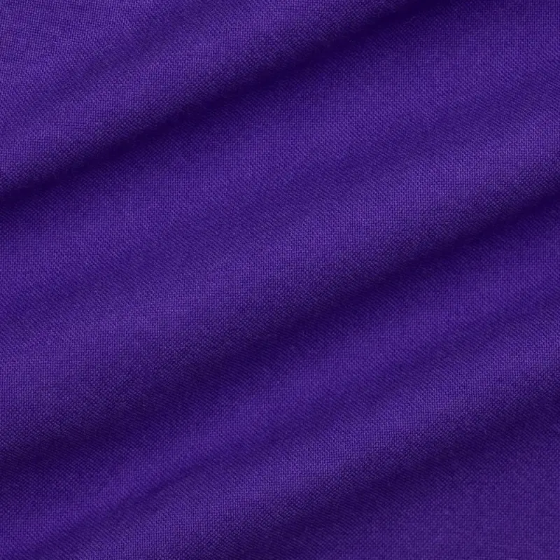 Polo Ralph Lauren FW24 Shirt Men's Purple-5