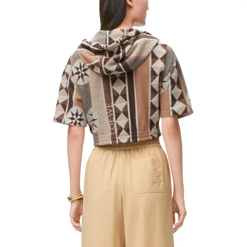 LOEWE Paula's Ibiza Hoodie 'Beige/Multicolor'-2