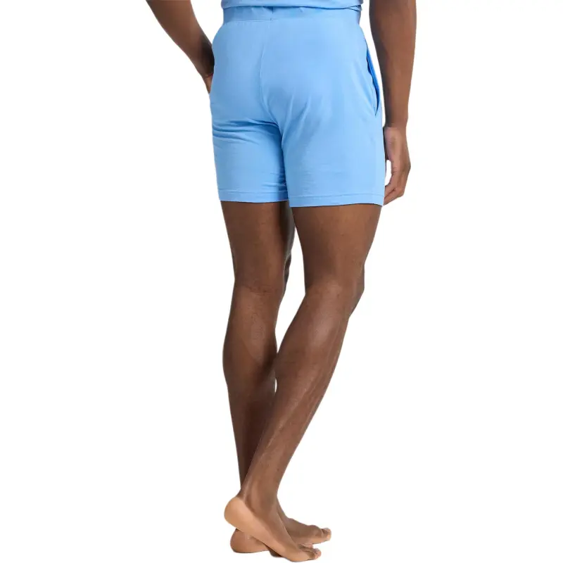 Polo Ralph Lauren Casual Shorts Men's Chatham Blue-3