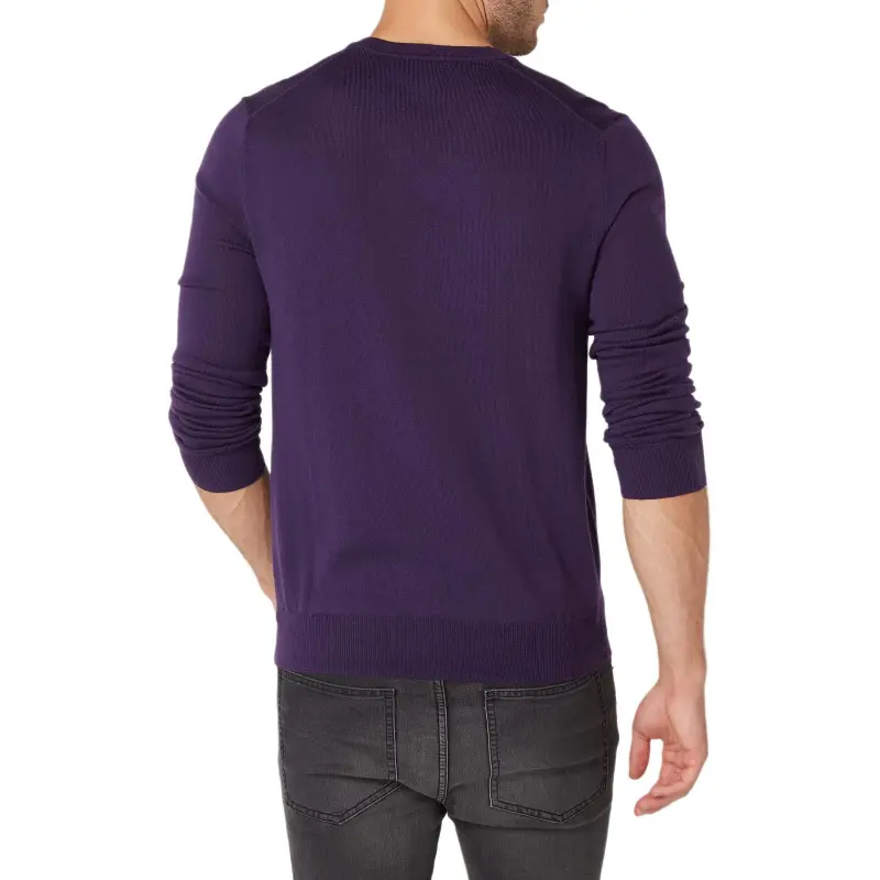 Polo Ralph Lauren Sweater Men's Purple-3
