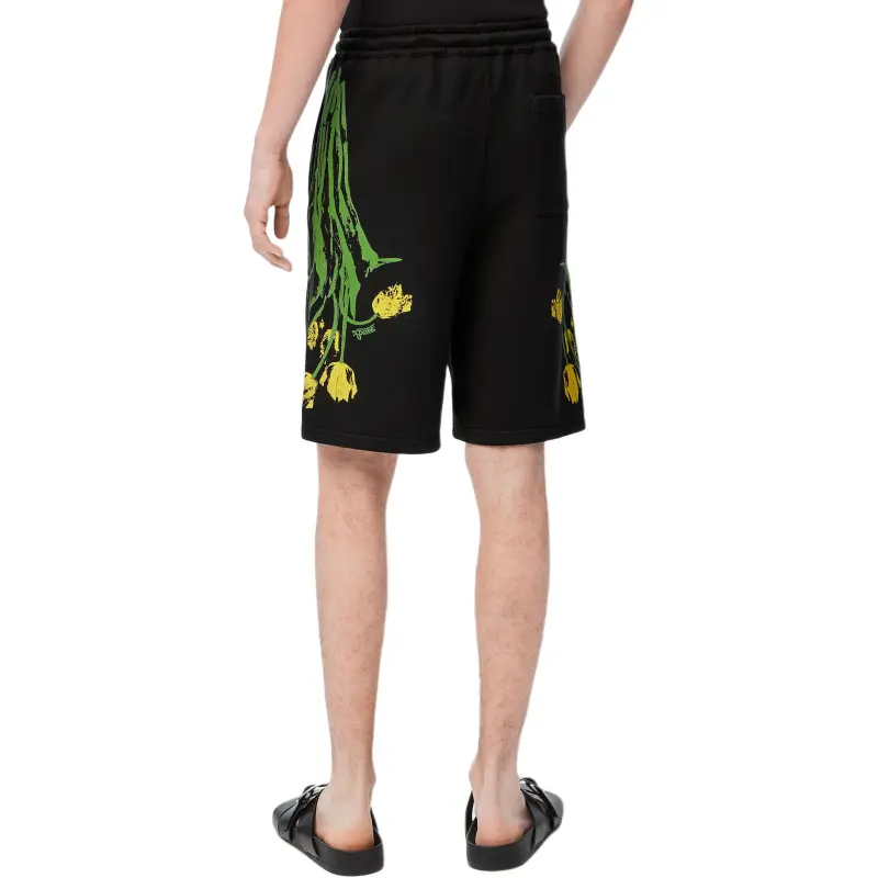 LOEWE Paula's Ibiza Casual Shorts Men's Multicolor-2