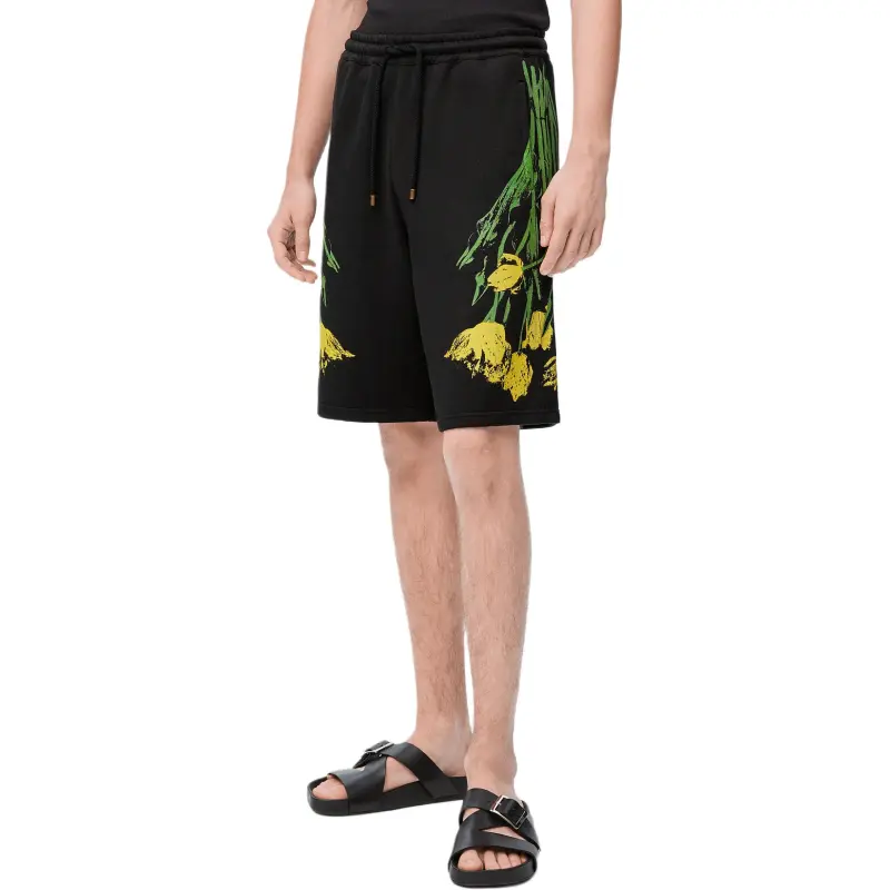 LOEWE Paula's Ibiza Casual Shorts Men's Multicolor-3