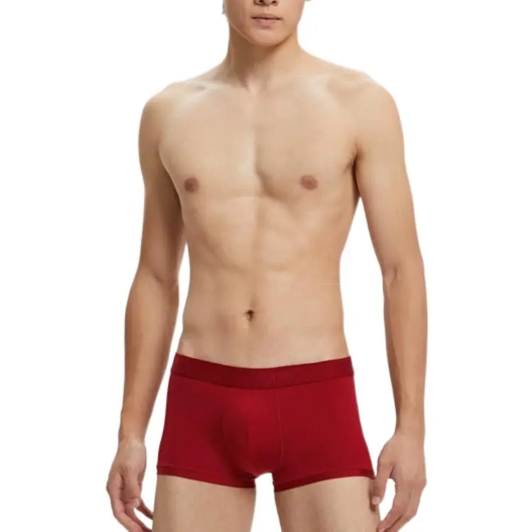 CK/Calvin Klein Underpants Men's Dark Red-2