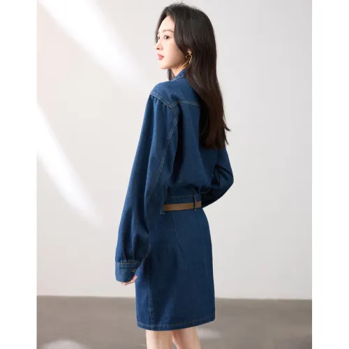 Like The Age Of Water Long Sleeved Dress Women's Blue