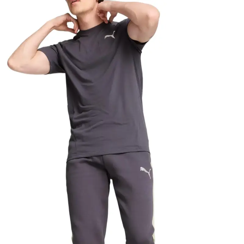PUMA EVOSTRIPE T-Shirt Men's Galaxy Gray-3