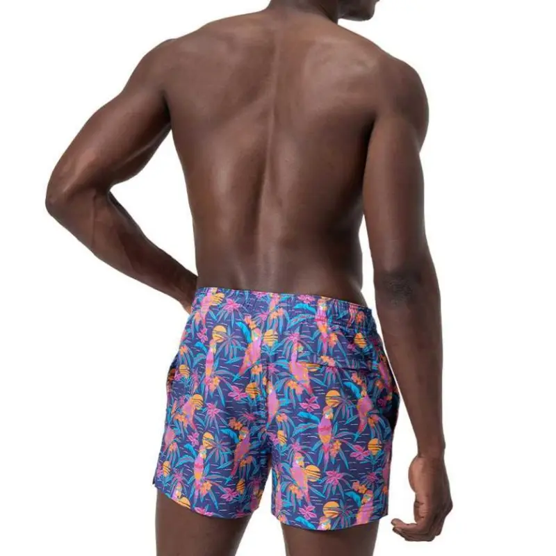 Speedo Swimming Shorts Men's Multicolor-2