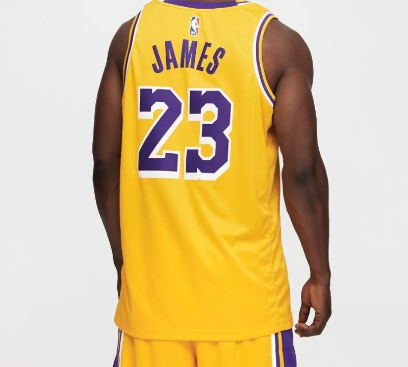 Nike LeBron James Icon Swingman Jersey-4
