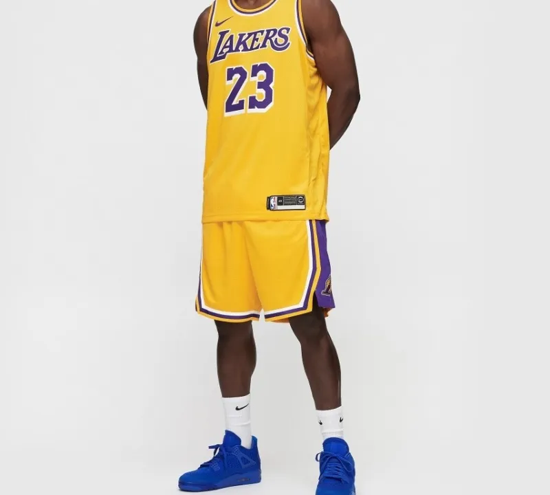 Nike LeBron James Icon Swingman Jersey-2
