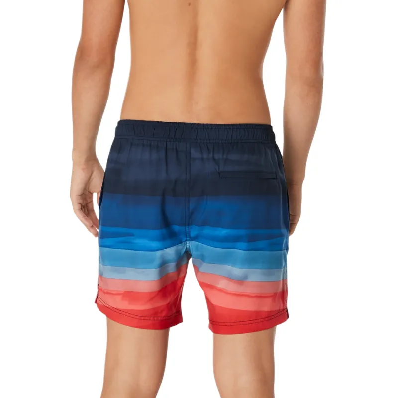 Speedo Swimming Shorts Men Marine Blue-1