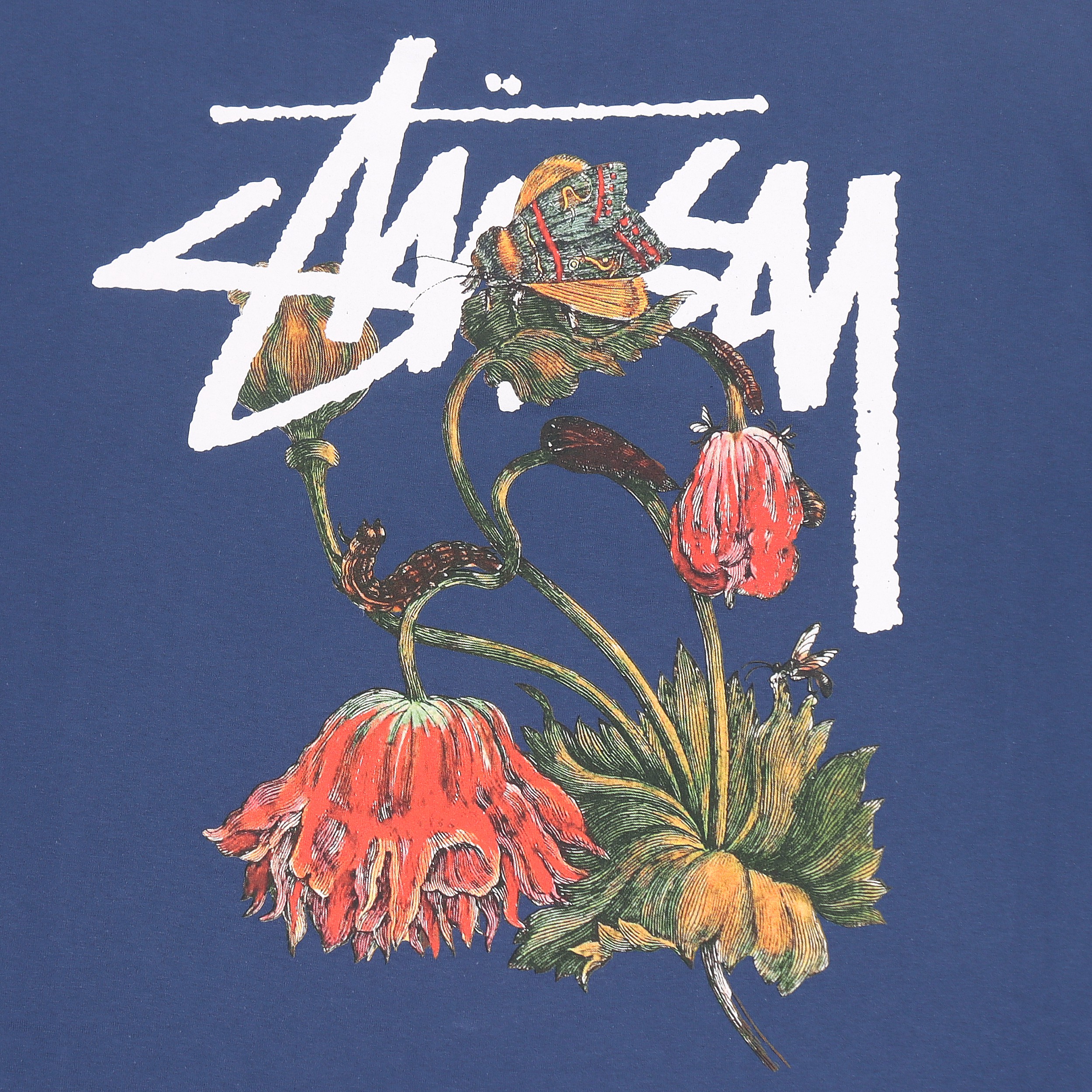 Skategang × Stussy × Vintage Vtg Stussy Skateboards Withered