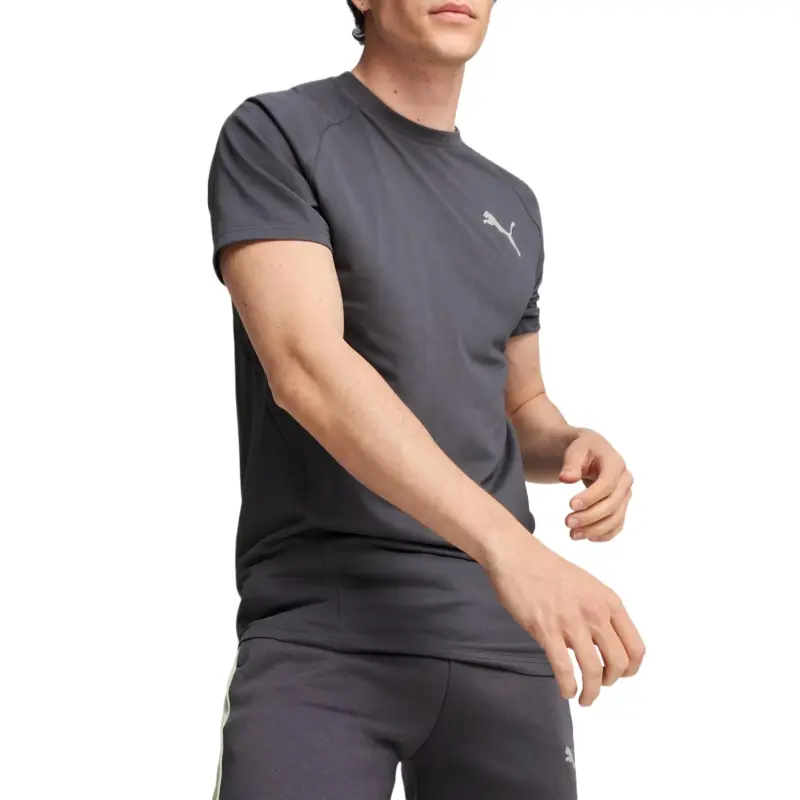 PUMA EVOSTRIPE T-Shirt Men's Galaxy Gray-2