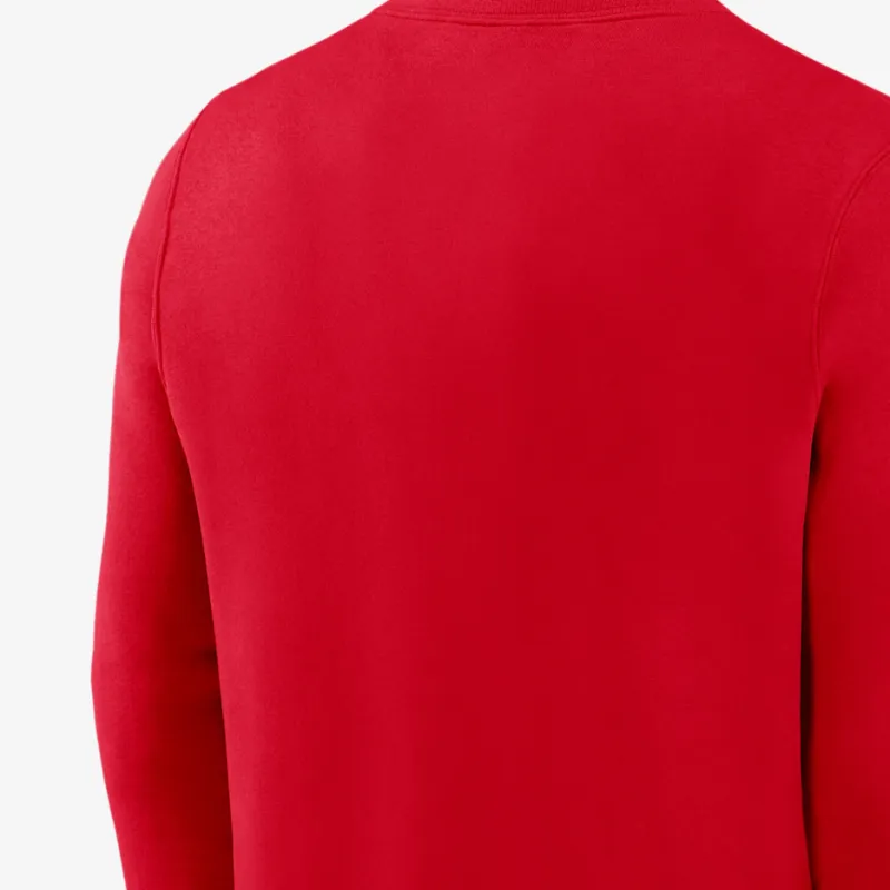Nike Ohio State Buckeyes Arched Seal Men's Nike College Pullover Crew-3