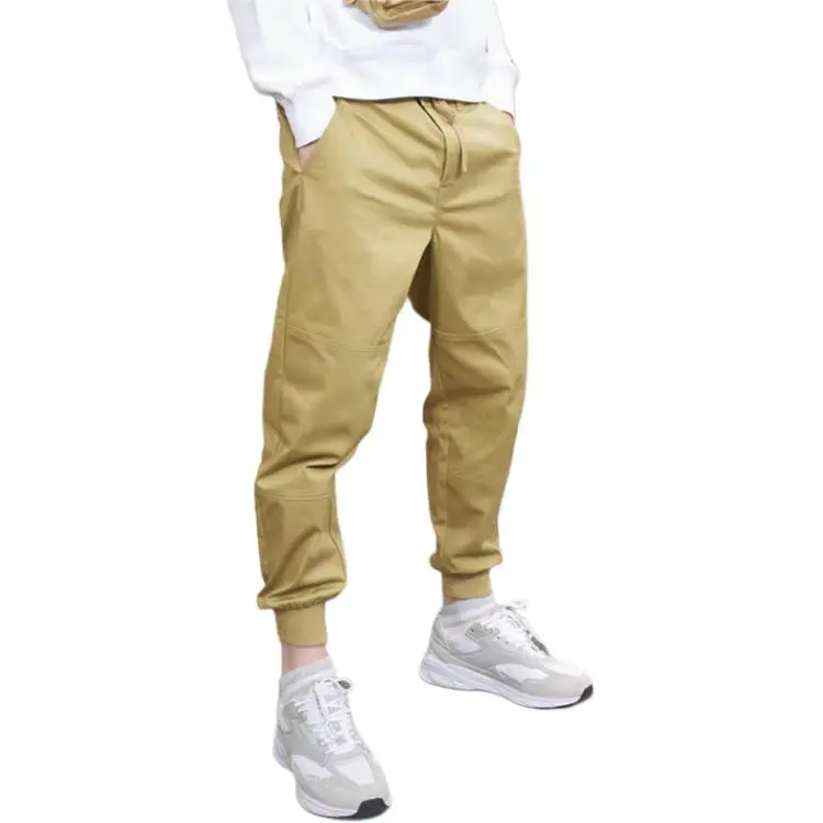 Dickies Casual Pants Men's Beige-4
