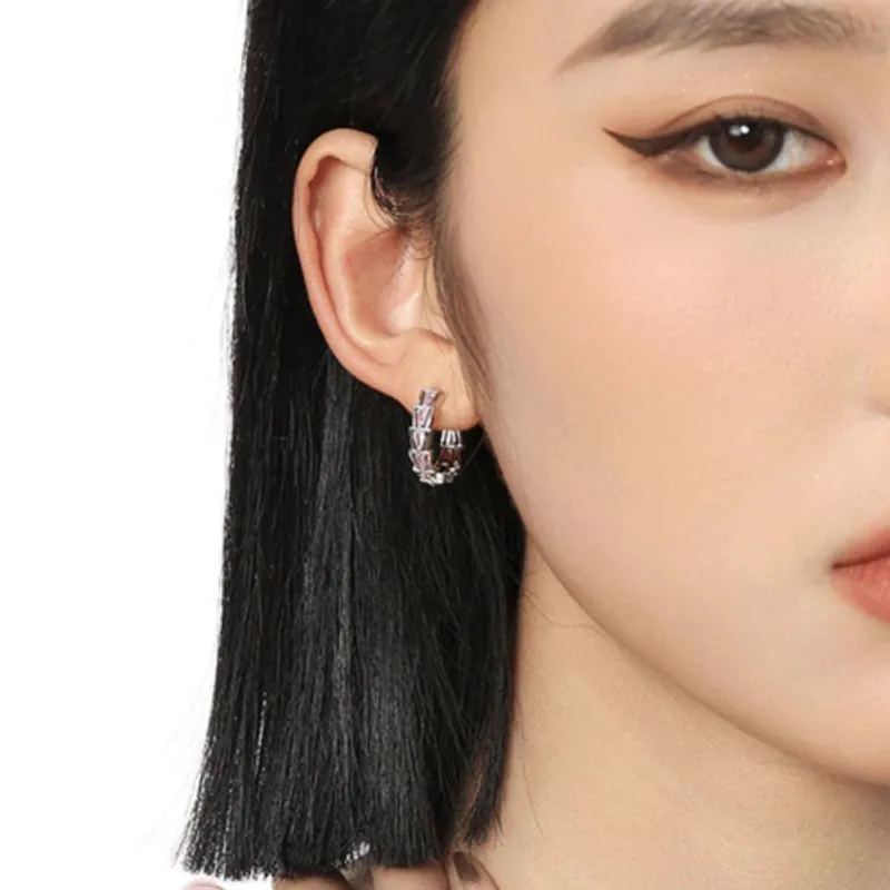 KING OF BLING Alloy With Zircon Stud Earrings Unisex Year Of The Snake Good Luck-5