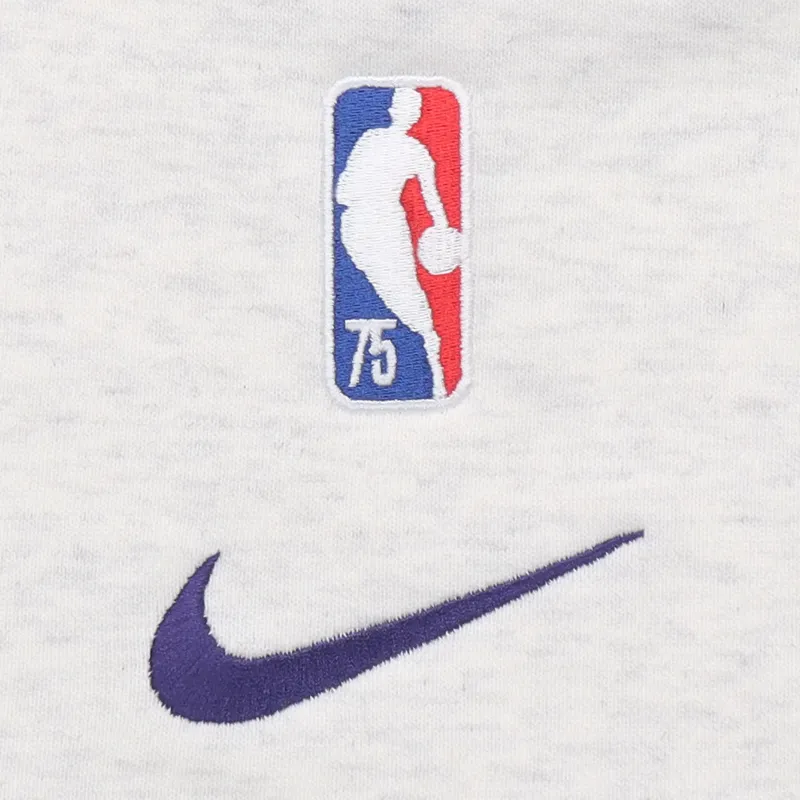 Nike Shorts Lakers Team Men's Birch Tree Color-1