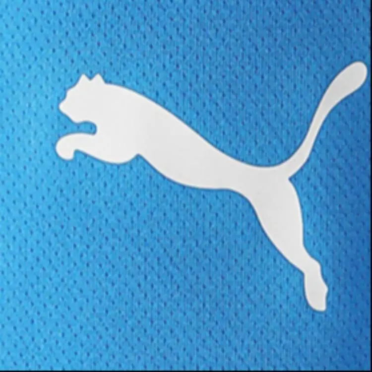 PUMA TEAMRISE Soccer Bottoms Men's Light Blue-4