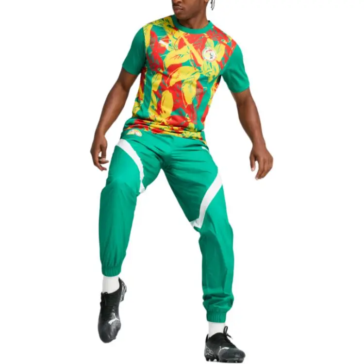 PUMA Senegal 2025 Pre Match Men's Soccer Jersey-3