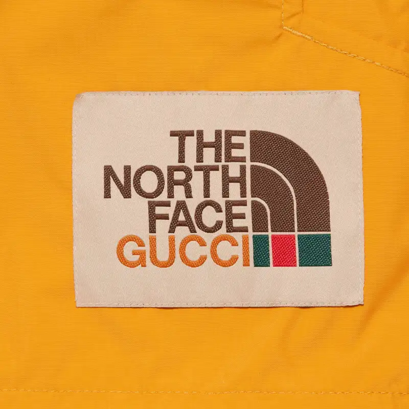 GUCCI X THE NORTH FACE Outdoor Jacket-4