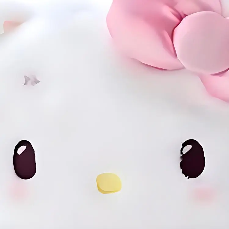 Sanrio Coin Purses-3