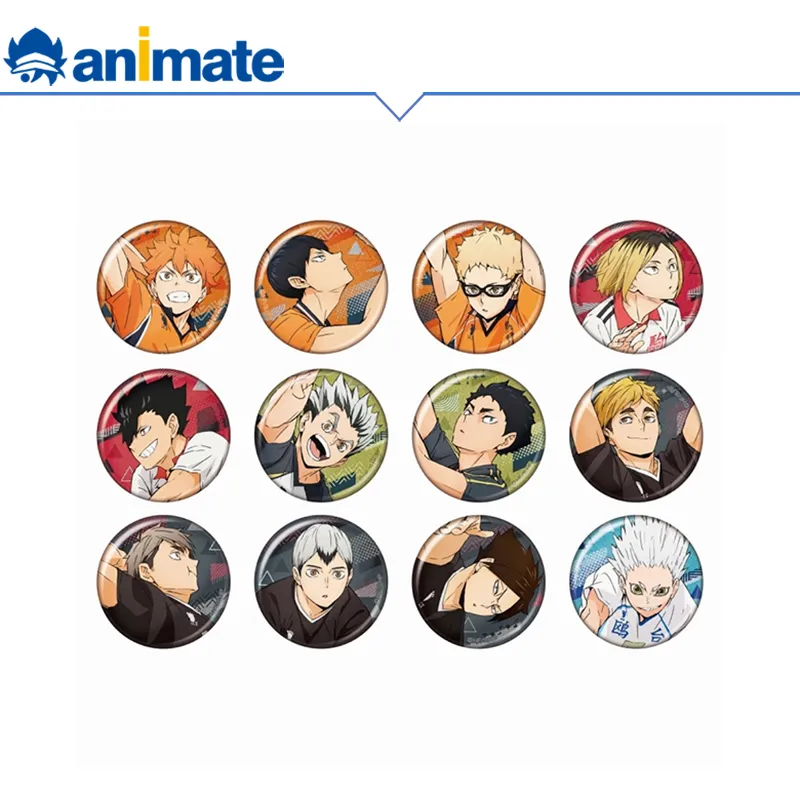 Animate Haikyuu!! Anime Version Badges-1