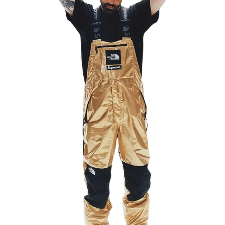 Supreme The North Face Metallic Mountain Bib Pants-2