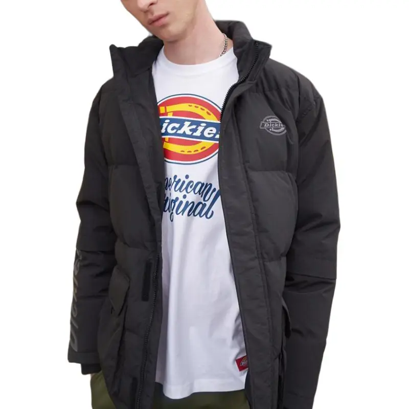Dickies Down Jackets Men-2