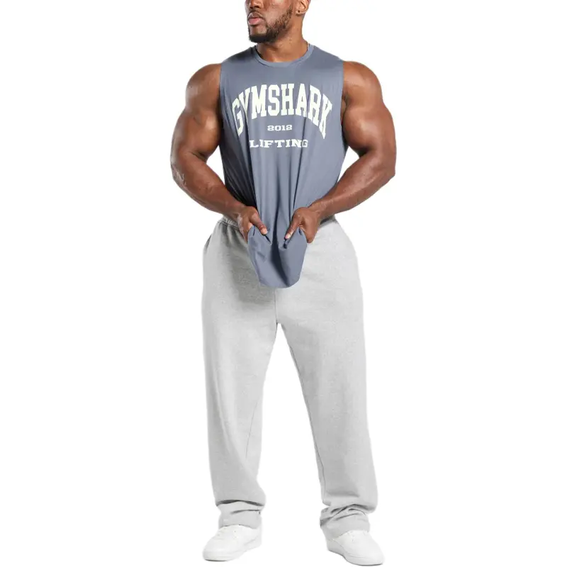 GYMSHARK FW24 T Shirt Men's Iron Blue-1