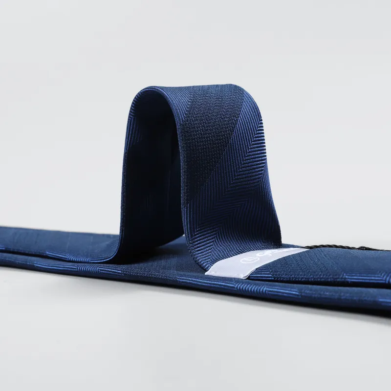 GOLDLION Polyester Ties Men's Blue-4