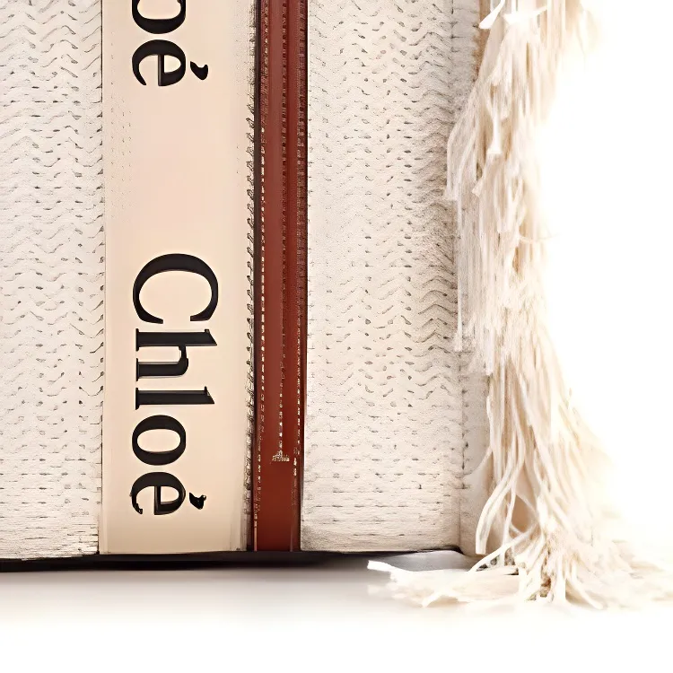 Chloe Woody Knitted Fabric, Recycled Cotton, Calfskin Trim Tote Bag, Shopping Bag, Shoulder Bag Women's Brown-2