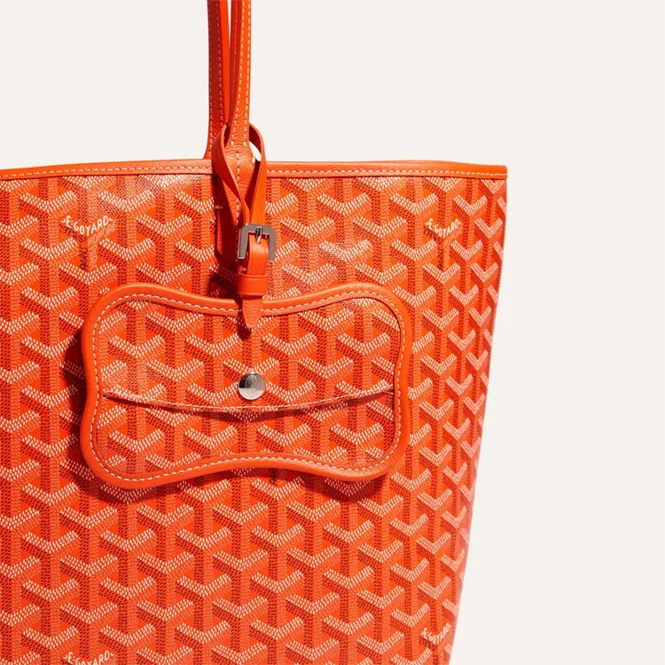 GOYARD Chien Gris Canvas With Leather Pet Bag Merch Unisex Orange-4