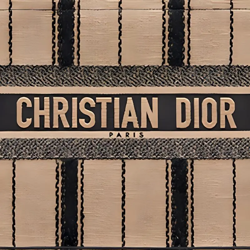 DIOR BookTote Canvas Handbag Small Size Women's Black/Beige-4