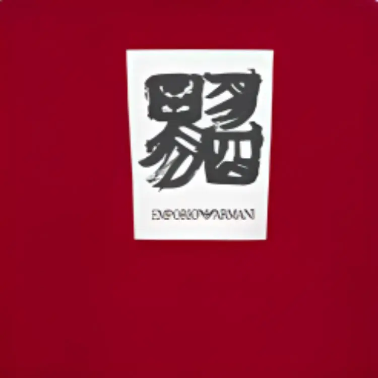 EMPORIO ARMANI EMPORIO ARMANI×JY Limited Edition T Shirts Women's Red-3