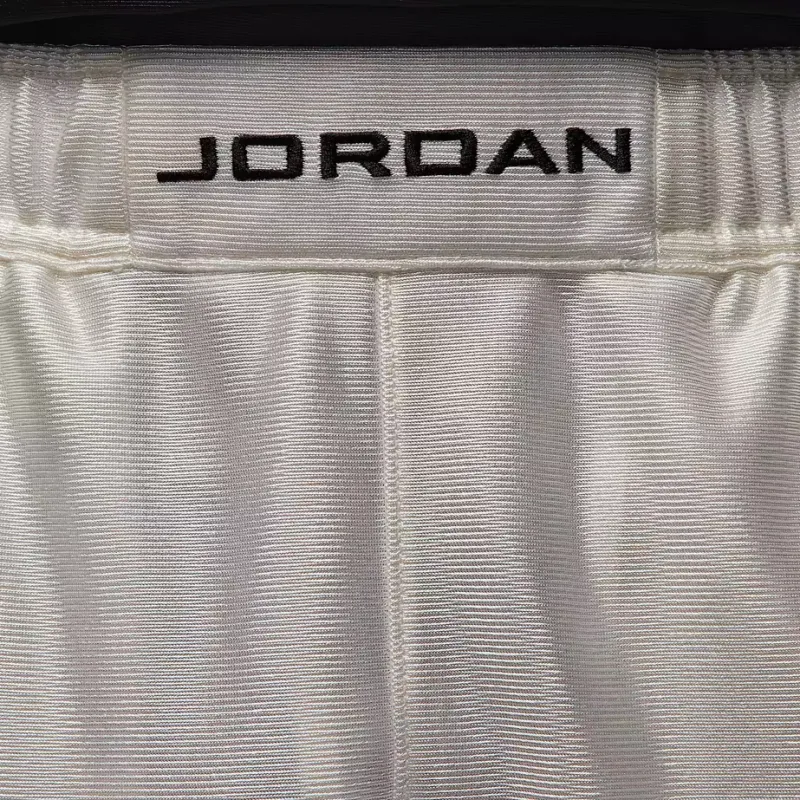 Jordan Brooklyn Cat Scratch Men's Shorts-3