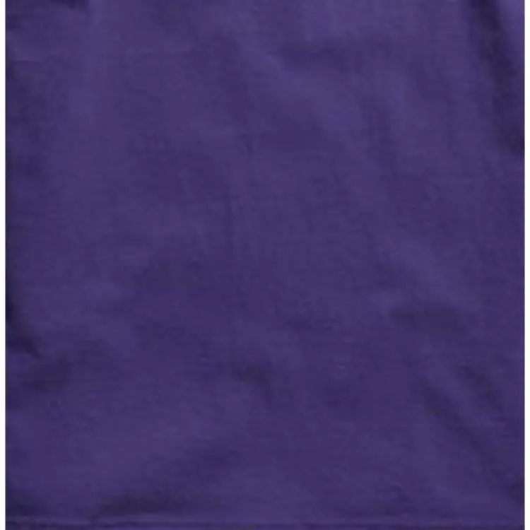 Champion T Shirt US Version Unisex Purple-3