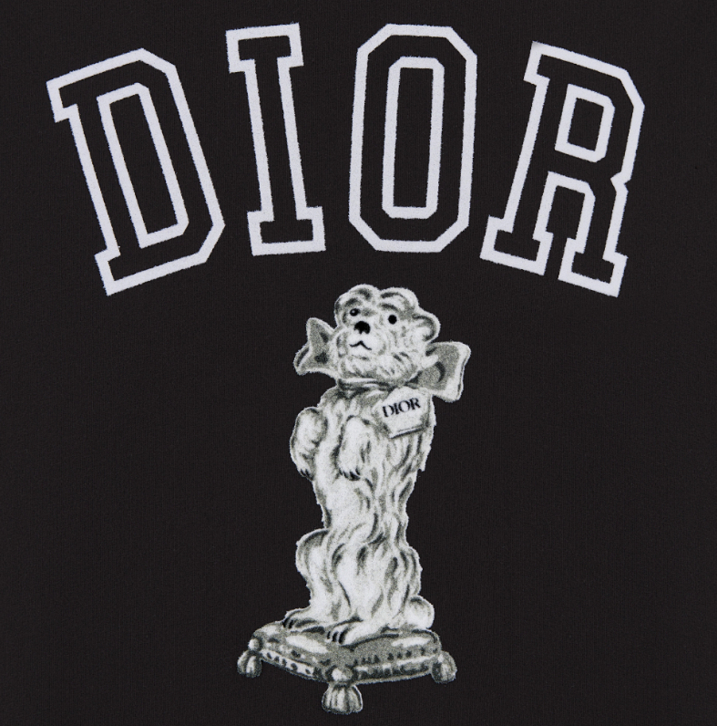 DIOR T Shirts Men Black - POIZON