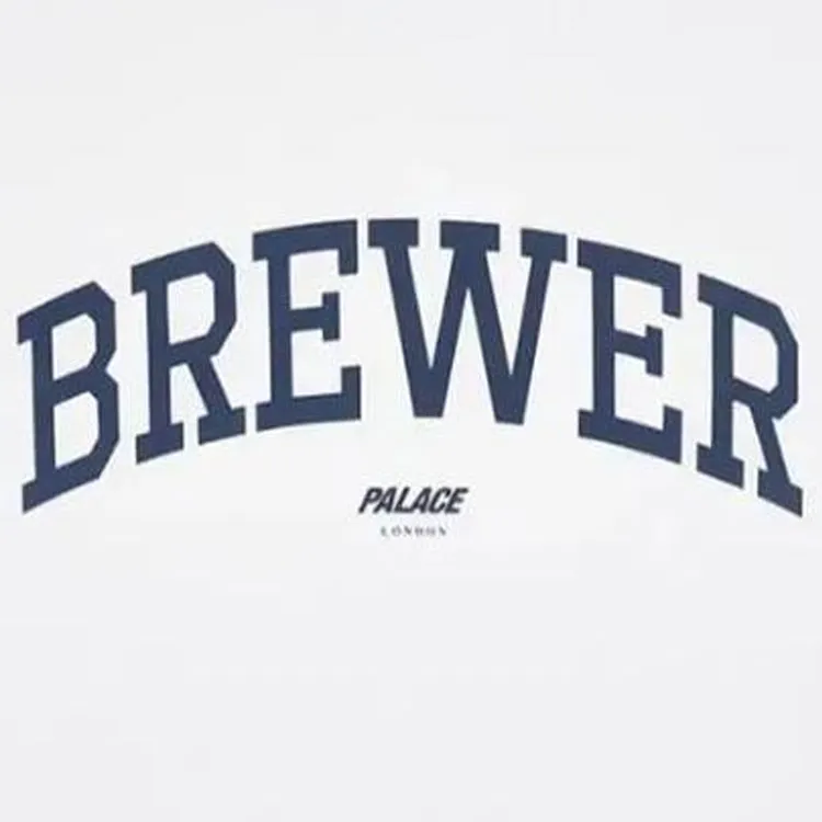 PALACE Champion New York Shop T shirt-1