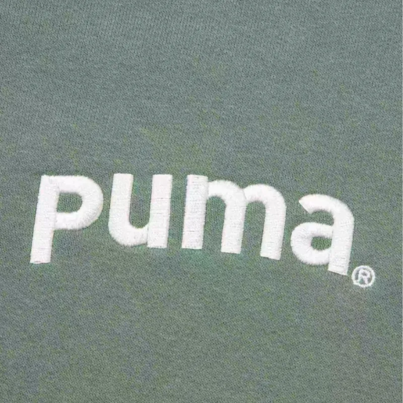 PUMA TEAM FZ HOODIE TR Sweatshirt Unisex Light Green Gray-4