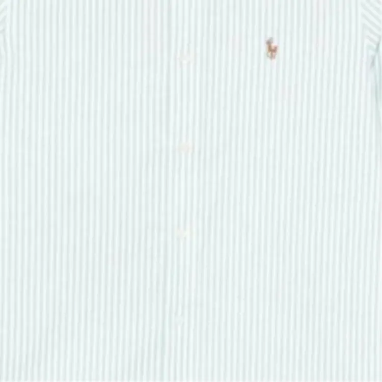 Polo Ralph Lauren Striped Shirt-5