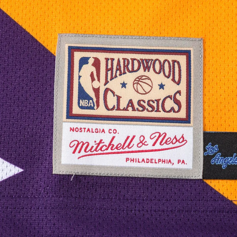 Mitchell & Ness Basketball Jersey Unisex Purple Gold-3