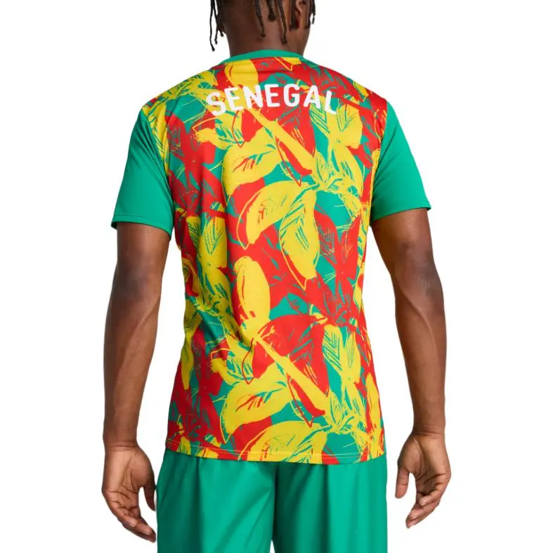 PUMA Senegal 2025 Pre Match Men's Soccer Jersey-4