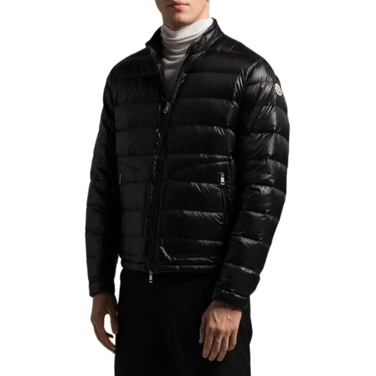 Moncler FW23 Down Jacket Men's Black-2