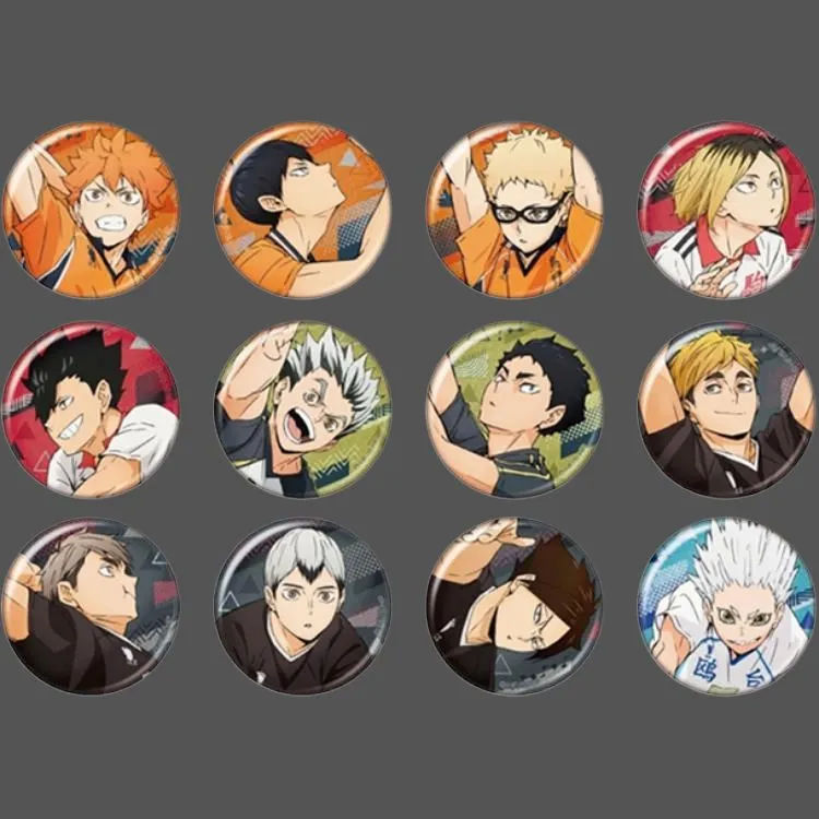 Animate Haikyuu!! Anime Version Badges-2