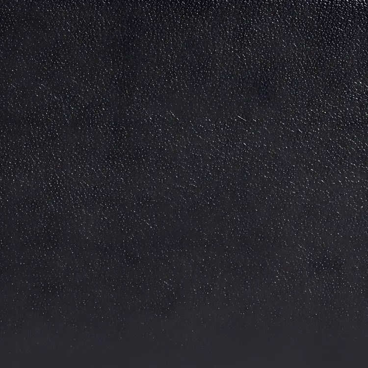 CALVIN KLEIN Polyurethane Card Holder Women's Black-4