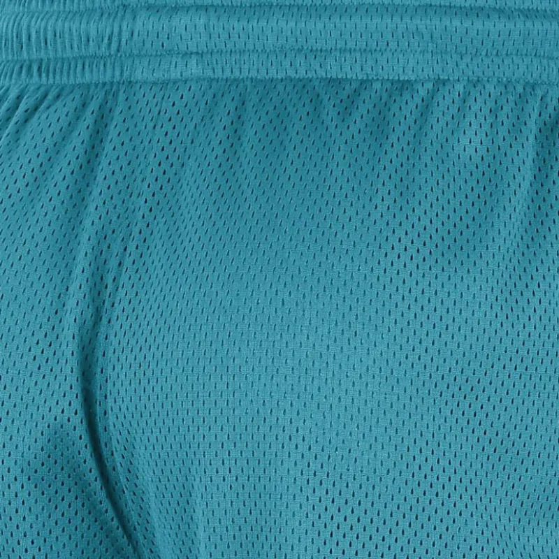 JORDAN Charlotte Hornets Men's Nike Nba Mesh Shorts-4
