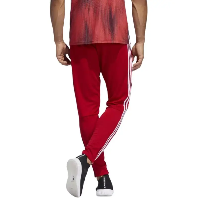 Adidas Tiro 19 Training Pants-4