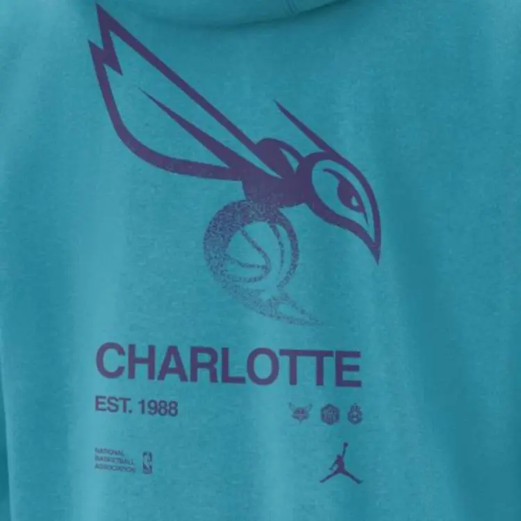 JORDAN Charlotte Hornets Club Courtside Men's Nike Nba Pullover Hoodie-2