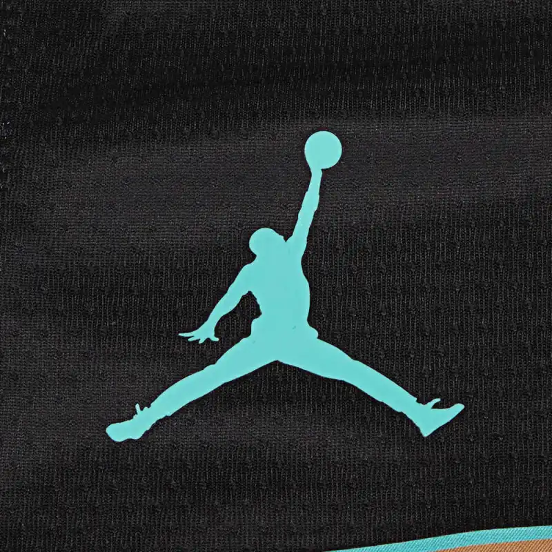 Nike Nba Charlotte Hornets Lamelo Ball Jersey-3