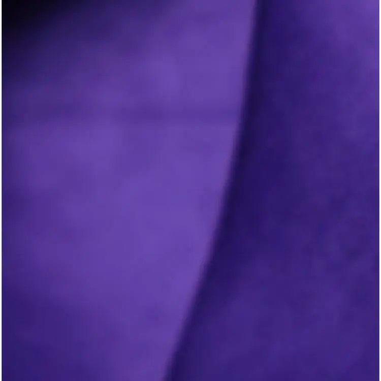 Acne Studios Shirt Women's Purple-2